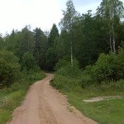 Леха Железный on My World.