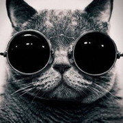 Дмитрий Котов on My World.