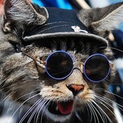 Кот Котов on My World.