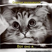 Ольга Чистякова on My World.