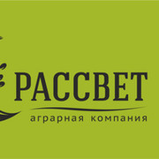 Ооо рассвет