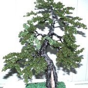 bonsai-tree группа в Моем Мире.