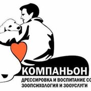 Учебно-тренинговый центр "Компаньон" группа в Моем Мире.