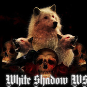 White Shadow [WS] группа в Моем Мире.