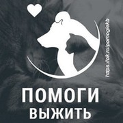 "Помоги выжить" (Екатеринбург) группа в Моем Мире.