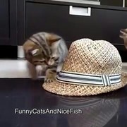 Дудзинский Владимир on My World.