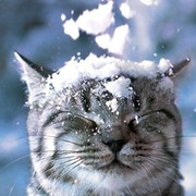 Кот Лунный on My World.
