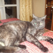 Анна Большова on My World.