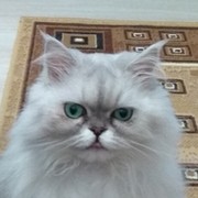 Наталия Хохлова on My World.