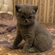 Александра Панова on My World.
