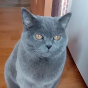 Алла Фомина on My World.