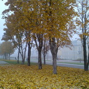 Апо стол on My World.