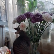 Наталья ***** on My World.