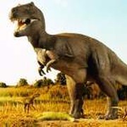 T - REX 21 on My World.