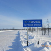 Эдуард Рябов on My World.