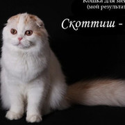 ~*~*~Фаина *~*~*~ on My World.