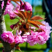 Ксения Попова on My World.
