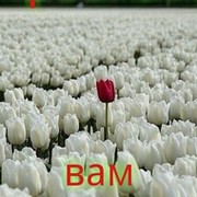 хсн Али Роза* on My World.