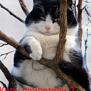 Игорь Баранов on My World.