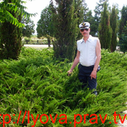 владимир гончаров on My World.