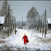 андрей лосев on My World.