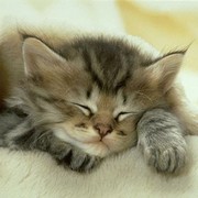 Любовь Котова on My World.