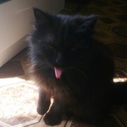 Алекс М. on My World.
