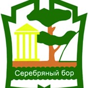 Тсн бор. Серебряный Бор логотип. Серебряный Бор лагерь. Парк серебряный Бор карта. ДНТ серебряный Бор.