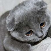 виктория павлова on My World.