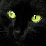 Ирина Солодовникова on My World.
