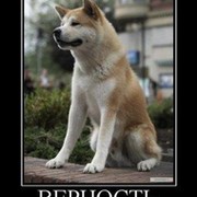 Сема Александрович on My World.