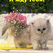 Татьяна Лукина on My World.