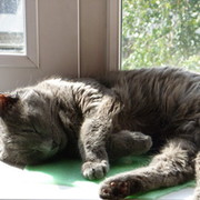 Юлия Фролова on My World.