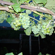 Валентина К on My World.