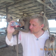 Дмитрий Васильков on My World.